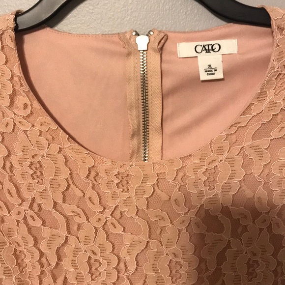 Long sleeved pink lace fit & Flare NWOT - Picture 2 of 4